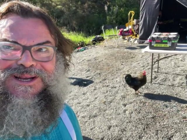 Jack Black — 🐔