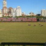 Campo Argentino de Polo