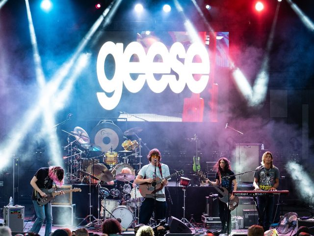 Geese