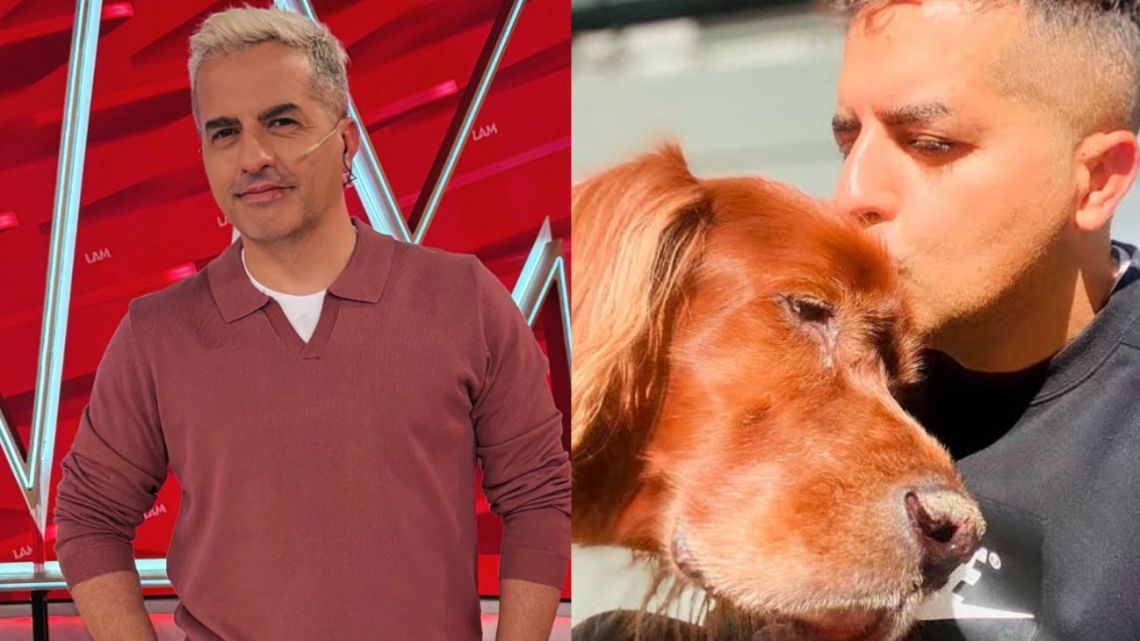 Ángel de Brito explicó por qué no volvió a tener mascota tras la muerte de su perro Chester