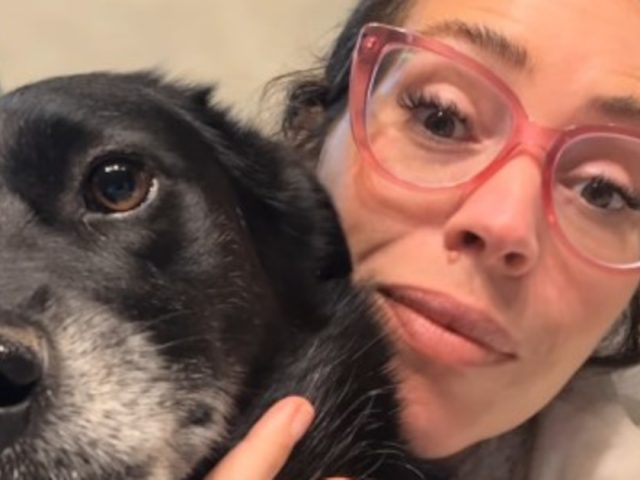 Mar Tarrés dice que sus perros quedaron “traumados” al saber que son adoptados