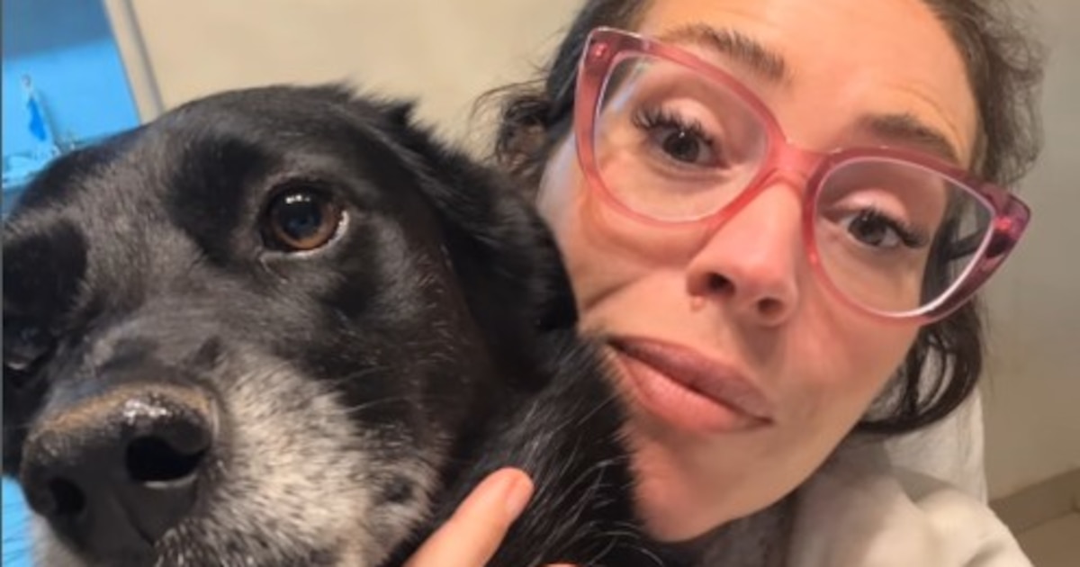 Mar Tarrés dice que sus perros quedaron “traumados” al saber que son adoptados