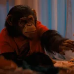 Primate, el slasher con chimpancé rabioso que pasó por Argentina y ahora está en Netflix