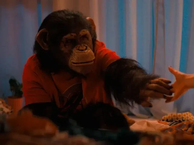 Primate, el slasher con chimpancé rabioso que pasó por Argentina y ahora está en Netflix